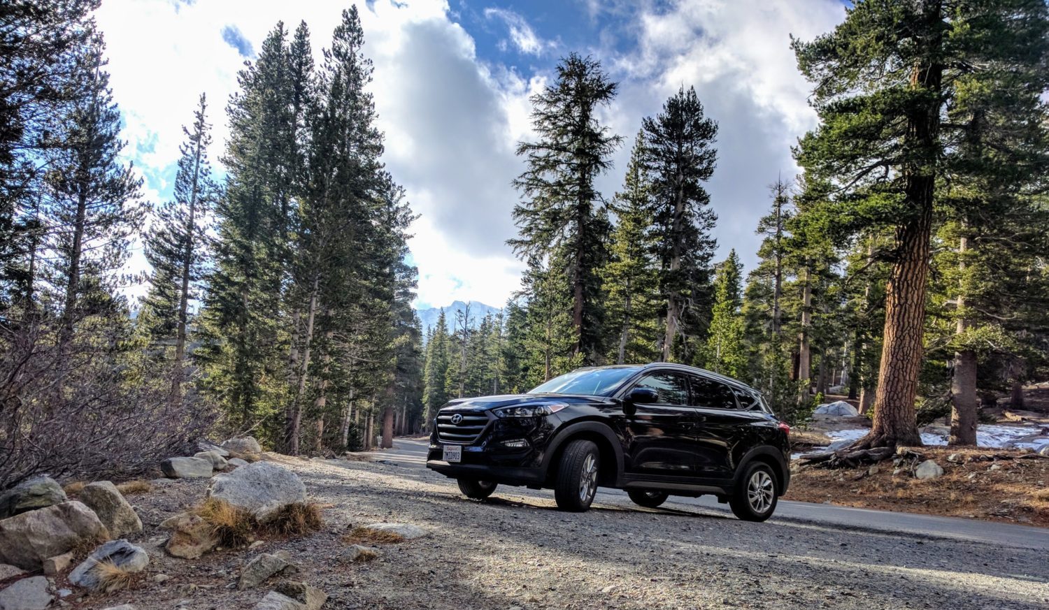 Car parked in a forest