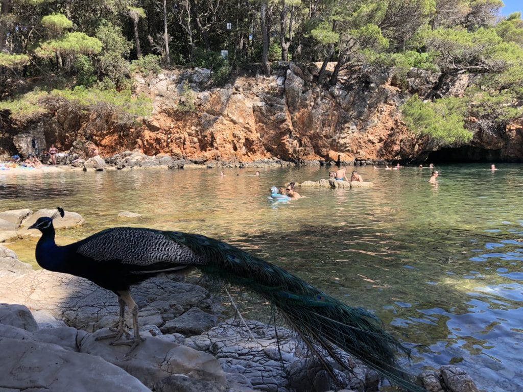 Lokrum Island