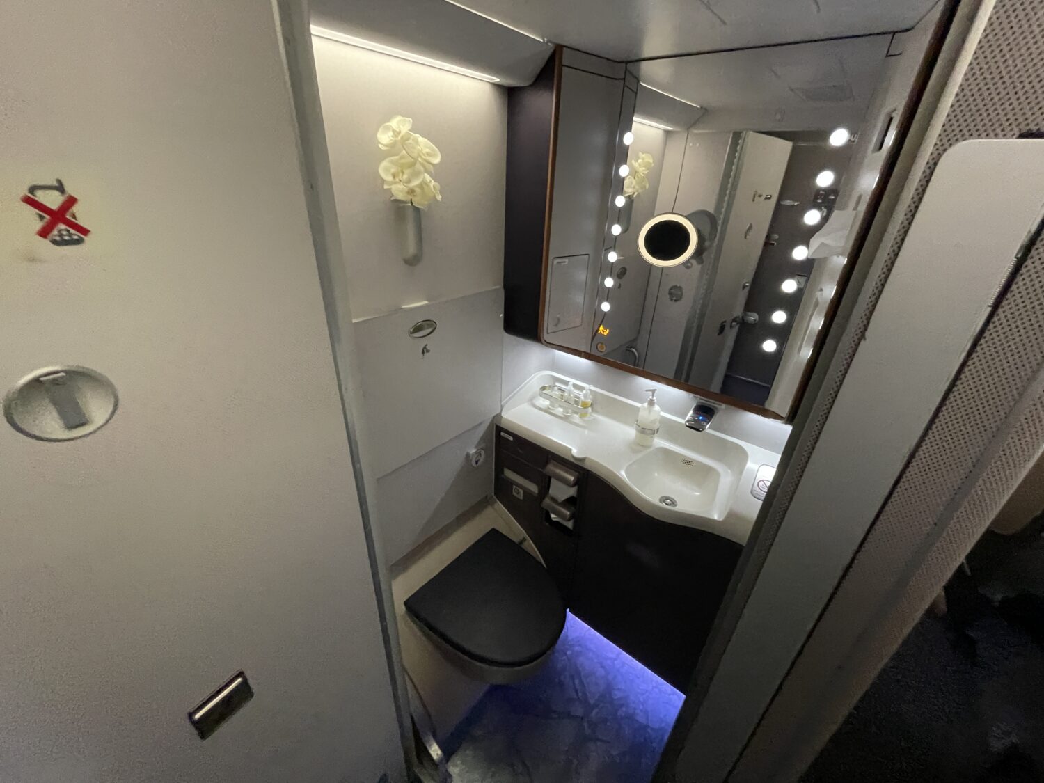 Singapore Airlines Bathroom Business Class