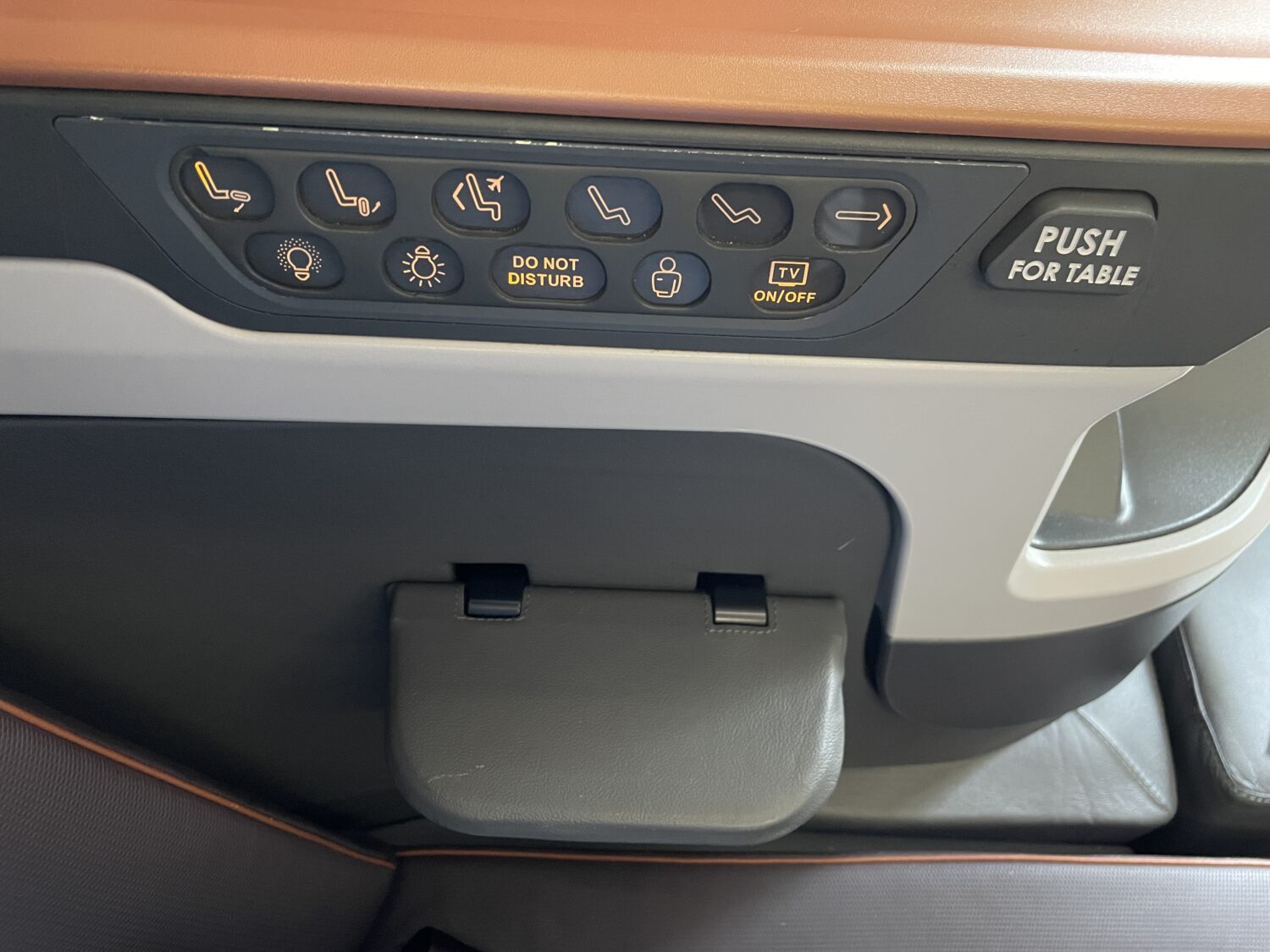 Singapore Airlines Business Class Seat