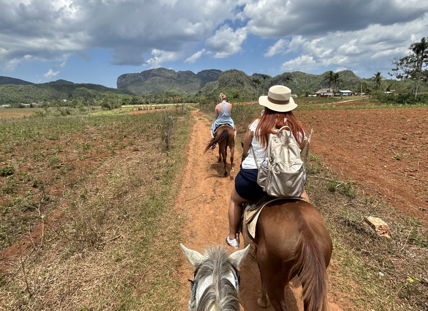 Viñales family farm