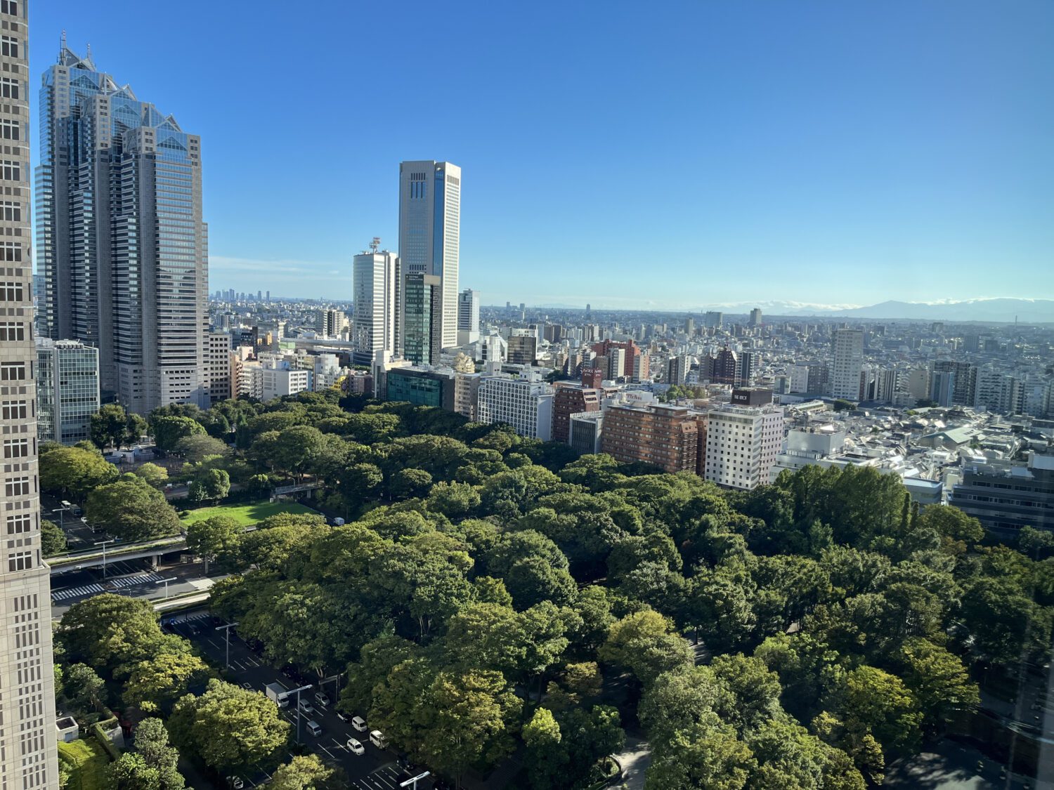 window view Hyatt Regency Tokyo